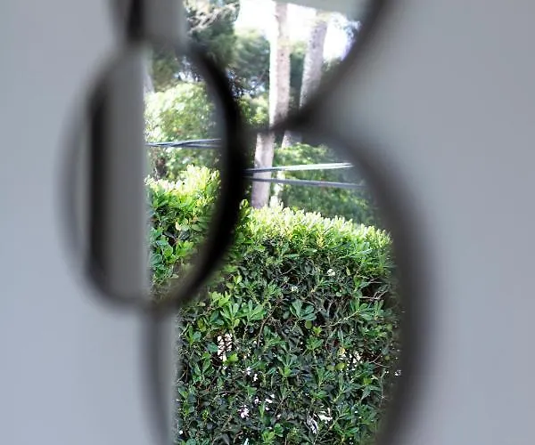 Apartmán Nura Condor Playa de Palma (Mallorca)